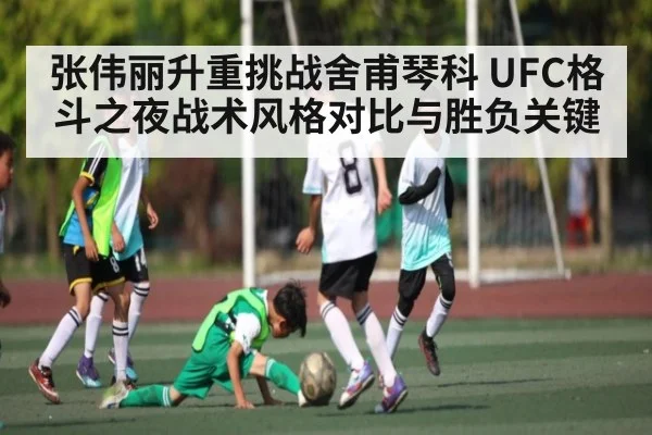 张伟丽升重挑战舍甫琴科 UFC格斗之夜战术风格对比与胜负关键